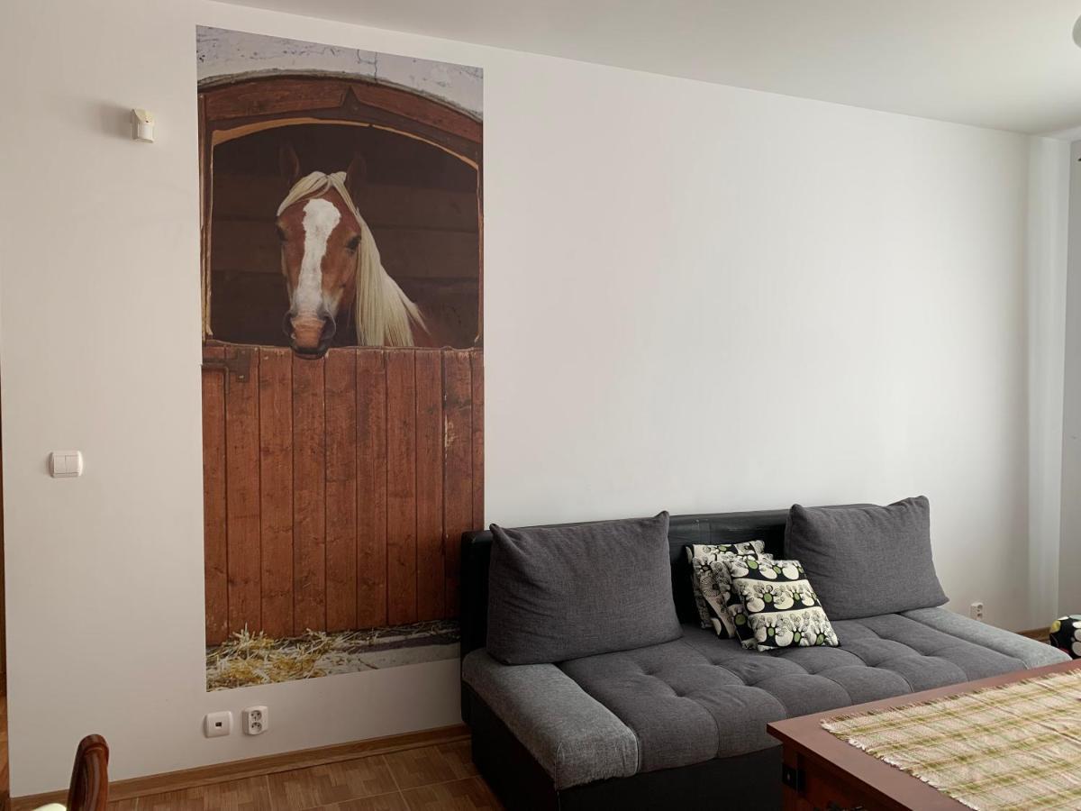 Zawsze Sloneczny Apartament Grzybowo Grzybowo  Buitenkant foto