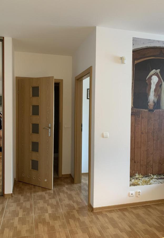 Zawsze Sloneczny Apartament Grzybowo Grzybowo  Buitenkant foto